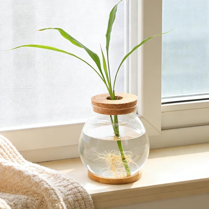 BESTOYARD Desktop Fish Bowl Hydroponic Terrarium Small Glass Fish Tank with Bamboo Cushion Betta Bowl for Desk Table Shelf Plant Display Home Office Party Decor