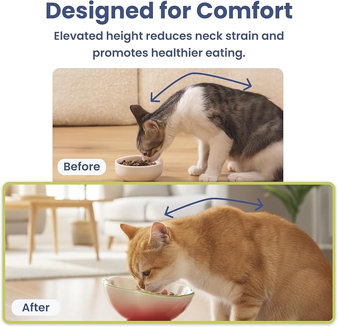 PawsPik Strawberry Blooms Elevated Ceramic Cat Bowl – Raised Cat Food Bowl with 15° Tilt, Whisker-Friendly Pet Feeding Bowl, Anti-Choking Dish, Dishwasher Safe (Red)