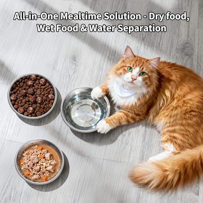 Tifanso 6PCS Stainless Steel Cat Bowls Dishes, 5.6” Metal Shallow Wide Whisker Friendly Cat Food Water Feeding Bowl, Kitten Plates, Basic Indoor Pet Food Tray, Dishwasher Safe