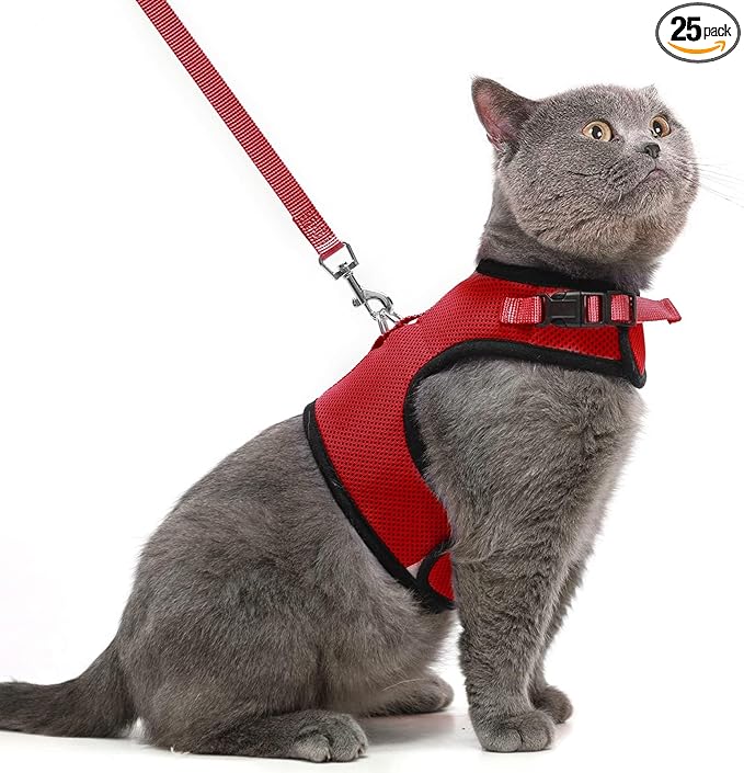 PUPTECK Soft Mesh Cat Vest Harness and Leash Set Puppy Padded Pet Harnesses Escape Proof for Cats Small Dogs, Red Large