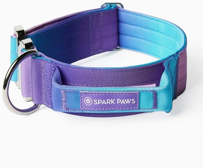 Spark Paws Tactical Dog Collar - Heavy Duty, Premium Quality, Thick and Durable for Large and Medium Dogs - 90s Retro - M - 1.5"