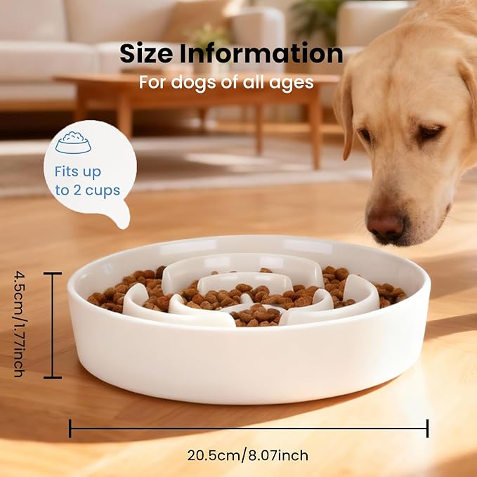 Ceramic Slow Feeder Dog Bowls,2.0 Cups Slow Feeder for Medium Breed,Puzzle Dog Food Bowl to Slow Down Eating, Anti-Gulping, Stop Bloat,Preventing Choking,8in,White