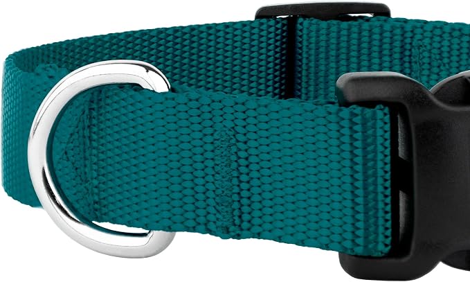 Country Brook Petz - Everyday Nylon Dog Collar and Leash - 10+ Cool Colors (3/4 Inch, Small, Teal)
