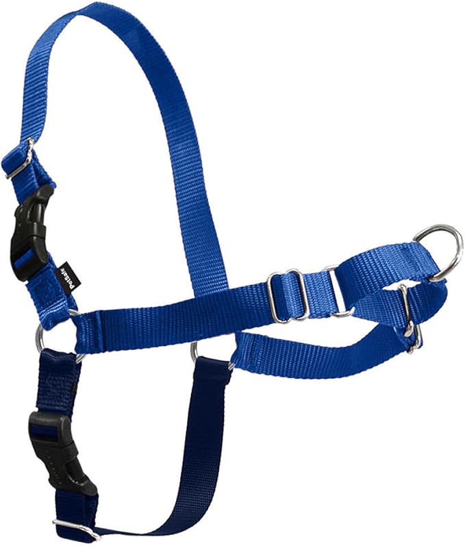PetSafe Easy Walk Harness for Dogs - Pull-Free Walks - Patented Martingale Loop Design - Front Chest Leash Attachment - Comfort Straps - Breathable Harness Design - Small/Medium, Royal Blue/Navy Blue