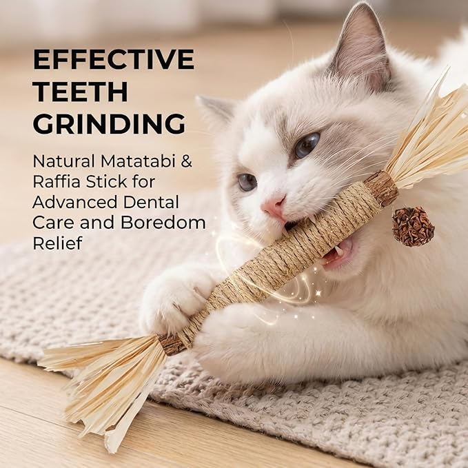 Cat Toys 10Pack Silvervine Chew Stick Kitten Treat Catnip Matatabi Toy Kitty Natural Stuff Catnip for Cleaning Teeth Indoor Dental Snack Interactive
