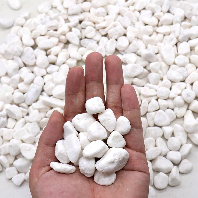 White Rocks for Plants & Planters, Decorative Pebbles, 0.5-1 Inch, 18 lb