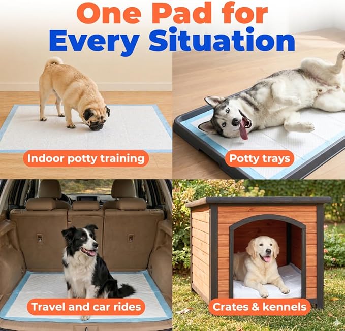 Best Pet Supplies XL (36 x 28 Inches) Puppy Pads 40 Count - Super Absorbent Dog Training Pads, Quick-Dry, Odor Control, Disposable Pee Pads, Leak-Proof Wee Wee Pads for Indoor Dogs – Baby Blue