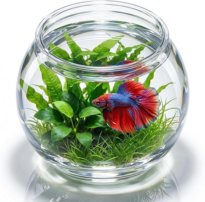 POPETPOP Plastic Aquarium Betta Fish Tank 1 Gallon Clear Goldfish Bowl Unbreakable Round Fish Vases Bowl for Home décor Wedding Event Party Goldfish Lovers