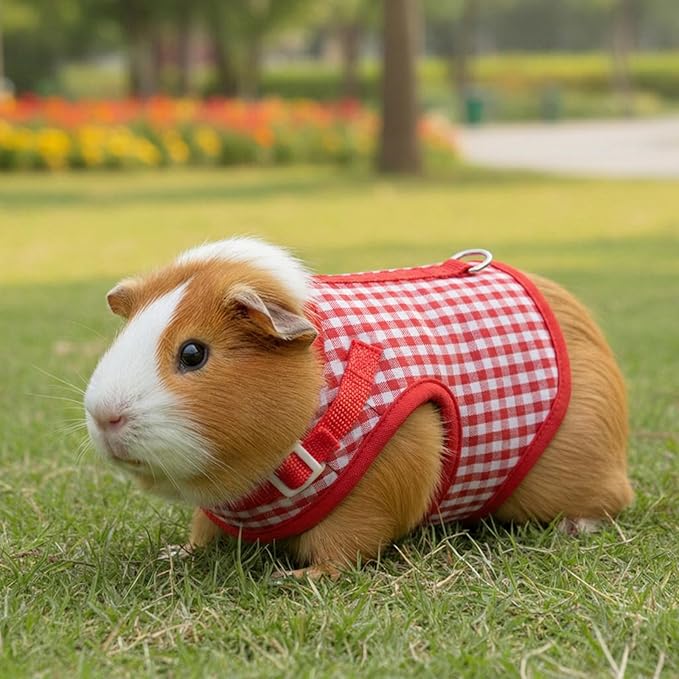 Guinea Pig Harness and Leash,Adjustable Guinea Pig Harness,Elastic Guineas Pigs Leash and Harnes,Ideal for Pet Hamster Squirrel Animals & Safe Pet Supervision(Red Plaid)