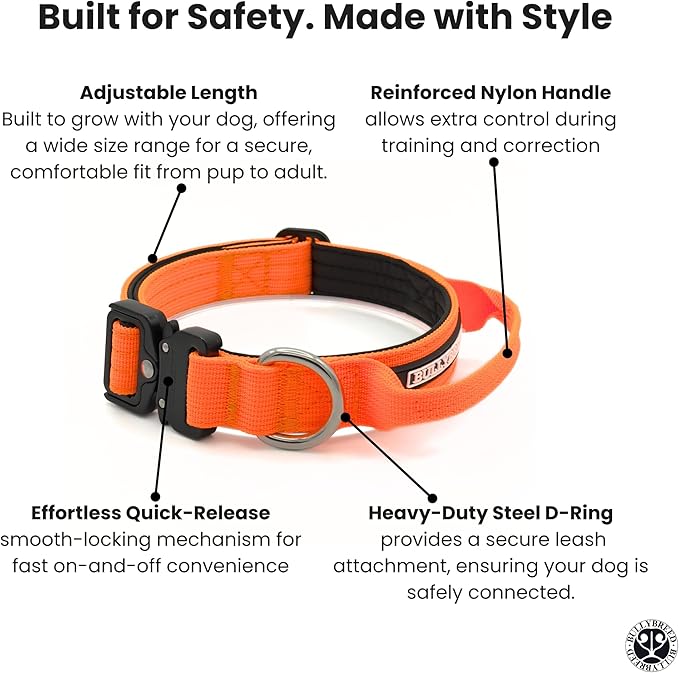 Tactical Dog Collar for Puppy, Heavy Duty Puppy Collar, Dog Collar for Small Dogs, Waterproof Dog Collar, Dog Training Collar, Quick-Release Metal Buckle, Adjustable Sizes – BULLYBREED (Orange, Small)