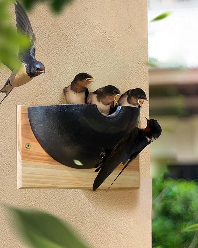 Swallow Houses for Outside, Tree Barn Swallow HDPE Composite Material Everlasting Nesting House Nest Box, Cedar Hanging Board Everlasting Under Roof 10"*4"*5.6" Large Copacity Inside Spaces