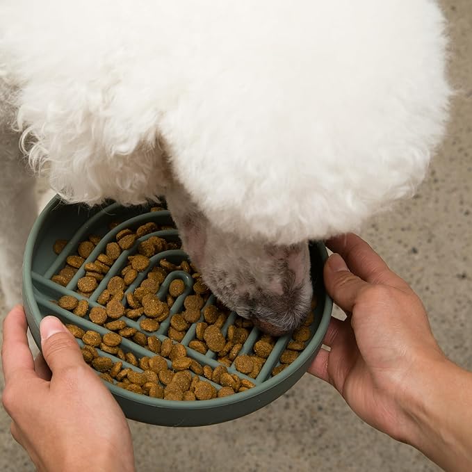 Should We Go? Slow Feeder for Dogs & Puppies, The Slowdown Bowl Silicone Slow Eating, Modern Lick Mat Design, Reduces Gulping, Fits 2 Cups, 7.5” Across x 1.5” Tall, Mealtime Challenge, Medium-Spruce