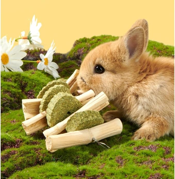 MANON ROSA 2 Pcs Natural Bunny Chew Toys for Dental Health - Apple Wood Bamboo Timothy Grass Sticks Grinding Treats for Rabbits Guinea Pigs Chinchillas Hamsters (Sweet Bamboo)