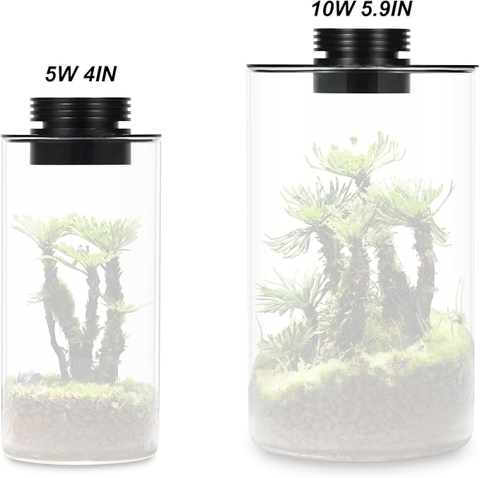 AREPK Glass Terrarium Plant Grow Light with Timer for Vases, 4-Inch Lamp | Auto On/Off Timer; Suitable for Glass Terrariums, Betta Fish Tanks, Succulents, Moss, Indoor Plants and Mini Landscapes
