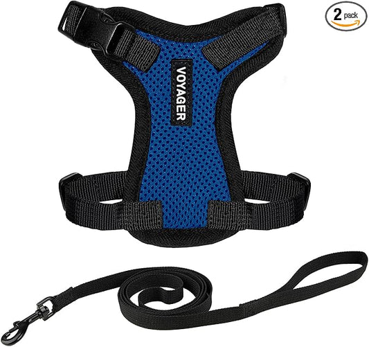 Voyager Escape-Proof Step-in Lock Cat Harness & 5ft Neoprene-Handle Leash Set All-Weather Mesh with Reflective Stitching for Small to Large Cats by Best Pet Supplies, Royal Blue/Black Trim, XXS