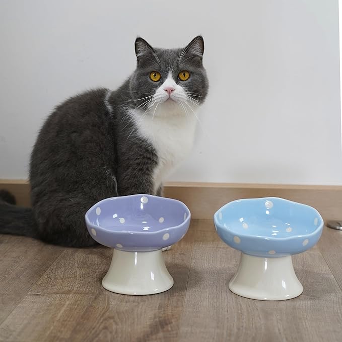 Ceramic Elevated Cat Bowls, Tilted Raised Pet Dish for Indoor Cats, Whisker Friendly Pet Food and Water Bowl for Kitten, Cat, Puppies, Dishwasher Safe (Purple)