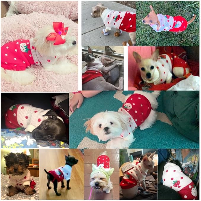 CHBORCHICEN Pet Dog Sweaters Classic Knitwear Turtleneck Winter Warm Puppy Clothing Cute Strawberry and Heart Doggie Sweater (Red1, Medium)