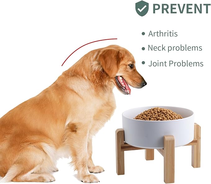 Elevated/Raised Ceramic Dog Bowl with Bamboo Stand (White, 3.6Cup)