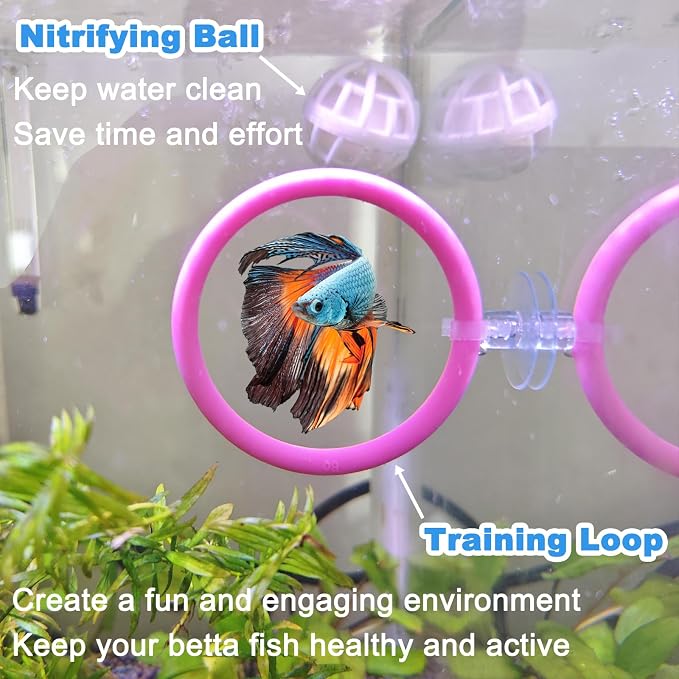 Betta Fish Toys - 4 Training Rings & 2 Bio Filter Balls, Beta Exercise Loop Toys and Nitrifying Balls Set, Betta Fish Tank Accessories Feeding Ring for Small Tank Decor Aquarium Water Conditioner
