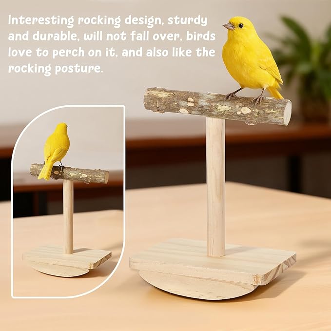 Natural Wood Bird Perch Stand Training, Rocking Perch for Birds, Intelligence Puzzle Enrichment Toys for Parakeets, Parrot Perch Stand for Cockatiels, Budgies, Conures, Bird Playground Accessories