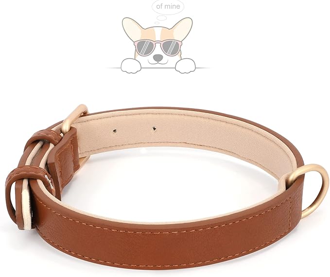 WHIPPY Leather Dog Collar for Small Medium Dog Adjustable Soft Breathable Leather Padded Puppy Collar with Alloy Buckle Heavy Duty Waterproof Classic Dog Pet Collar,Brown,XS