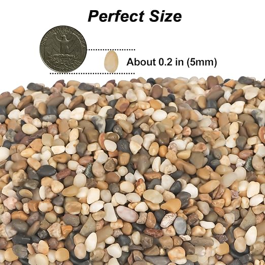 River Rocks, Landscaping Pebbles, Mixed Color Decorative Stones, 5 Pounds | Ornamental Gravel Filler For Flower Bed, Fish Tank, Plants, Vases, Succulents, Home & Garden Landscaping Decoration
