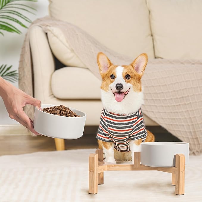 Elevated Ceramic Dog Bowl Set - Raised Dog Bowls with Non-Slip Bamboo Stand - Dog Food and Water Bowl Set - Double Dog Feeding Bowls - Suitable for Small and Medium Dogs - 3.6 Cups