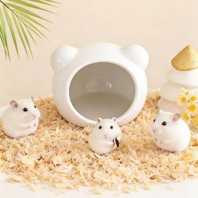 Hamster Hideout, Cute Ceramic Summer Cool Guinea Pig House, Sugar Glider Gerbil Cage Accessories for Hedgehog Mice (White)