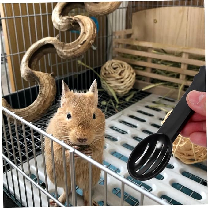 BESPORTBLE Hamster Bathtub Cleaning Spoon Set 5pcs Chinchilla Dust Bath Spoons Small Pet Shower Sand Tool Smooth Surface Random
