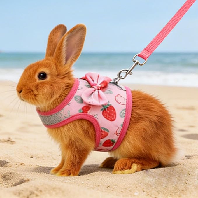 Small Pet Harness and Leash, Escape Proof Rabbit Vest with Soft Edges Dual Safety Buckles for Bunny Guinea Pig Ferret Chinchilla (L)