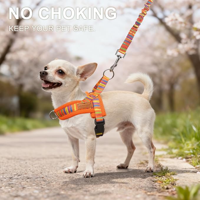 BEAUTYZOO Dog Harness for Small Dogs,No Pull Dog Harness and Leash Set,Soft Breathable Escape Proof Puppy Vest Harnessss with Handle,Lightweight Quick Fit Harness for Girl Boy Dogs Training Walking,XS