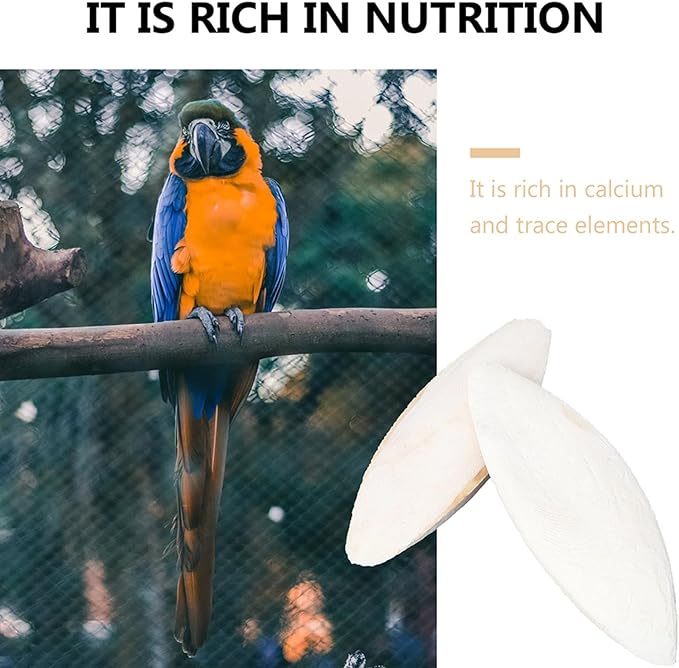 10 Pack Bird Cuttlebone Chew Toy, Natural Cuttlebone for Birds Parakeets Reptile Tortoises Snails, Cuttlefish Bone for Birds, Bird Calcium Stone for Parrots Cockatiels Budgie Macaw