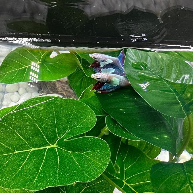 Fish Tank Decor Aquarium Decorations Ornaments Betta Leaf pad Hammock 6inch Plastic Artificial Plant Goldfish Fish Hides Small Tank/Reptiles Plants Driftwood (Green-Type-A)