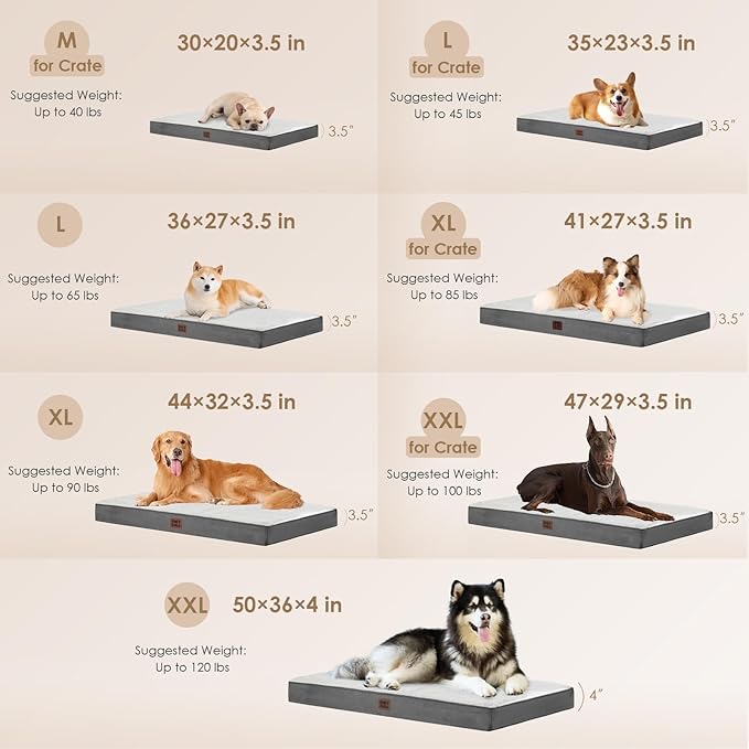 EHEYCIGA Orthopedic XL Dog Beds for Extra Large Dogs with Removable Washable Cover, Beige, 44x32