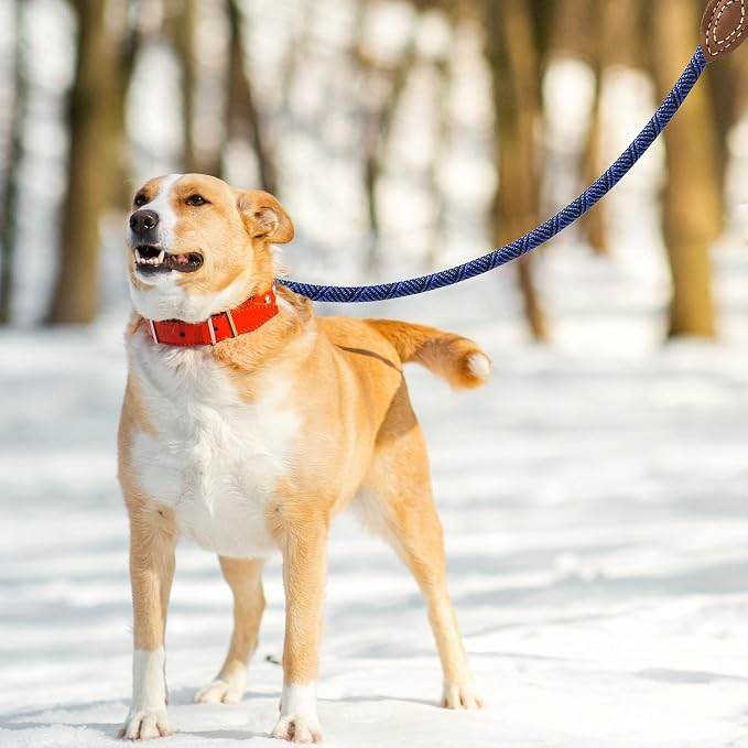 Mile High Life Rope Leash with Genuine Leather Connection, 6 FT/5 FT/4 FT, Heavy Duty Leash for Medium & Large Dogs (Blue, 48 Inch)