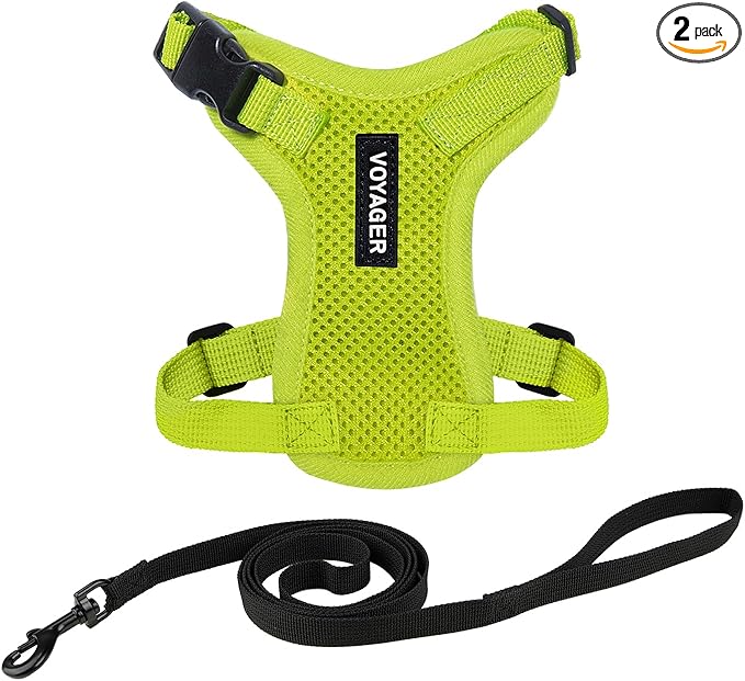 Voyager Escape-Proof Step-in Lock Cat Harness & 5ft Neoprene-Handle Leash Set All-Weather Mesh with Reflective Stitching for Small to Large Cats by Best Pet Supplies, Lime Green, XXS