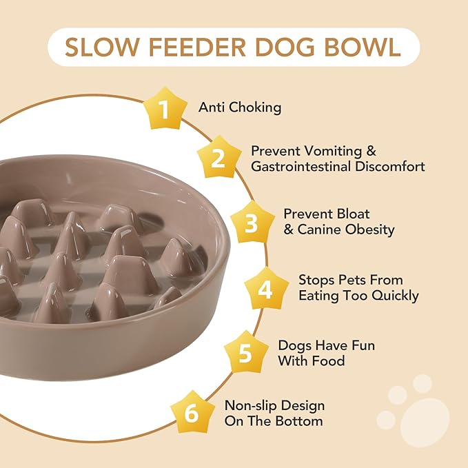 Havniva Ceramic 3.2 Cup Raised Slow Feeder Dog Bowl Set, Elevated 8.2inch Bowl and 9.5inch Slow Pet Food Dish with Wooden Stand for Large Dog (2 x Brown Coffee+ Stand)