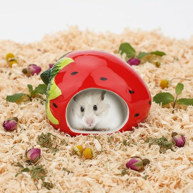 Hypeety Dwarf Hamster Hideout Adorable Cartoon Shape Hamster House Chinchilla Mini Hut Small Animal Ceramic Hideout Cave (Strawberry)