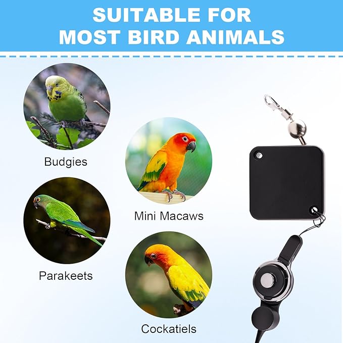 Bird Leash, with 5 Different Size Foot Ring and Feeder Box, Retractable Anti-Bite Parrot Harness, Bird Flight Training Rope for Budgies,Cockatiels,Psittacula Longicauda,Mini Macaws (6.5Ft)