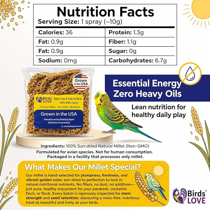 1lb Millet Tips & Tails for Birds - Parakeets, Cockatiels, Lovebirds, Finches, Budgies, Canaries, Cockatoos - Natural & Healthy Millet for Birds - Parakeet Food & Treats for All Parrots (2 Pack)