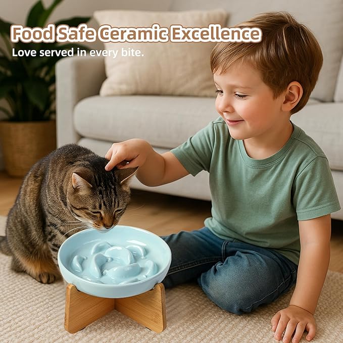 Elevated Slow Feeder Cat Bowl - Ceramic Cat Food Dish with Anti-Slip Bamboo Stand - Whisker Friendly Feeding Bowl - Raised Maze Plate for Slow Down Eating - Mint Green