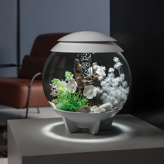 biOrb Halo 15 Acrylic 4-Gallon Aquarium with Multi-Color Remote-Controlled LED Lights Modern Compact Tank for Tabletop or Desktop Display, White