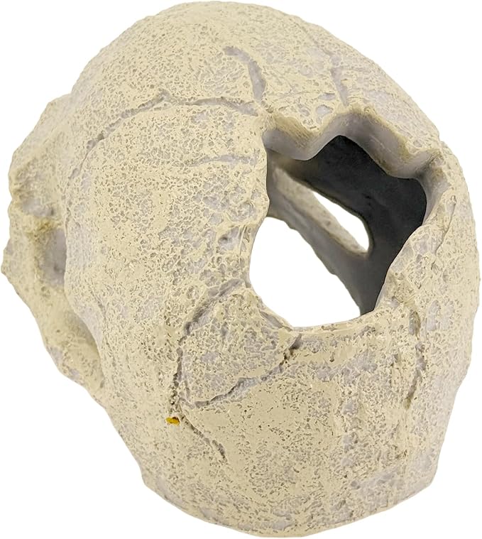 Aquarium Human Skull Decor for Betta Fish, Sinking Hide Shrimp Hide | Realistic sinking aquarium skull creates a cave-like betta hideout and shrimp shelter while adding gothic freshwater decor