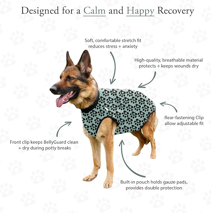 BellyGuard Dog Surgery Recovery Suit, Dog Onesie for Post-Op Care, Recovery Apparel for Female and Male, Surgical Body Cover for Canine Healing Support
