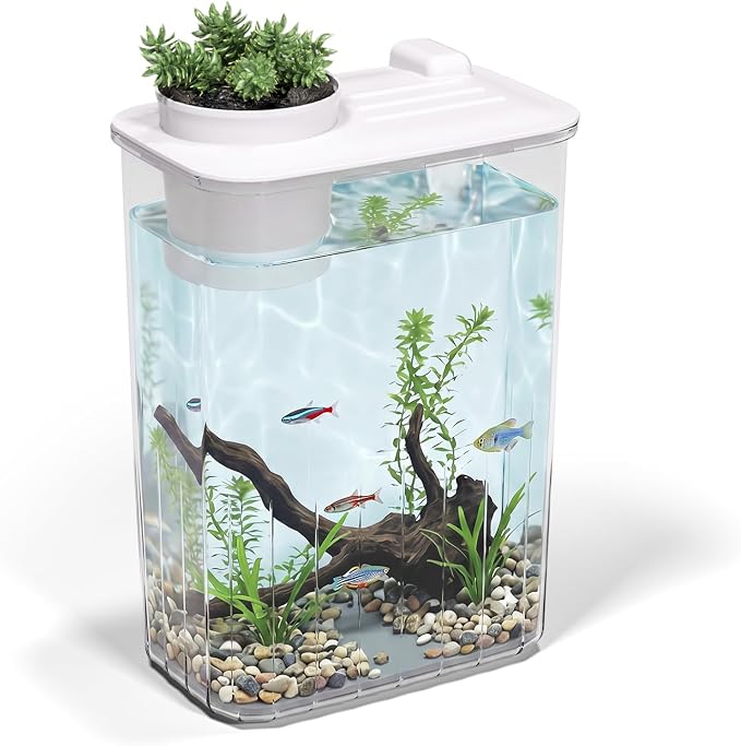 1 Gallon Betta Fish Tank Aquarium Starter Kit with Light and Lid(White) | Premium Acrylic Aquarium with Light and Lid, Crystal Clear Starter Kit for Betta Fish, Shrimp, Snails and Small Fish
