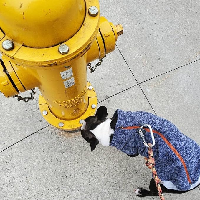 Gooby Zip Up Fleece Dog Sweater - Gray Wash, X-Large - Warm Pullover Fleece Step-in Dog Jacket with Dual D Ring Leash for Small to Medium Dogs