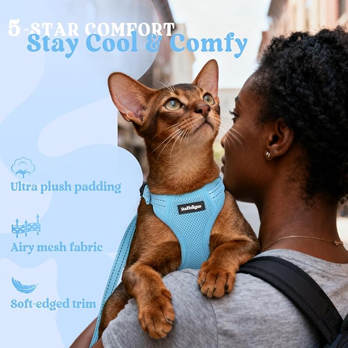 rabbitgoo Cat Harness and Leash, Escape Proof Vest with 3 Adjustable Buckles, Soft Comfortable Kitten Harness, Easy to Wear, Reflective for Safe Outdoor Walking, XS, Sky Blue