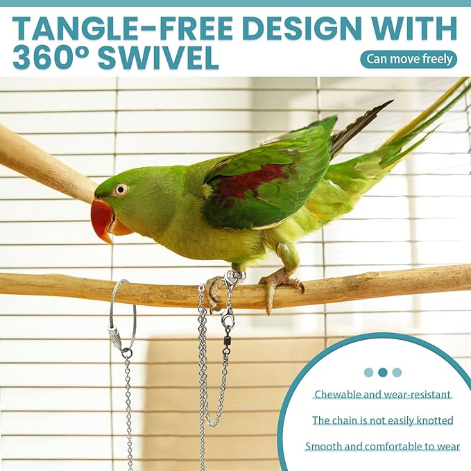 LELE LIFE 2 Pack 39in Bird Leash with 5 Sizes Ankle Rings, Stainless Steel Anti-Bite Parrot Bird Harness Flying Toy Training Chain Leg Rope Outdoor Parrot Alloy Foot Ring