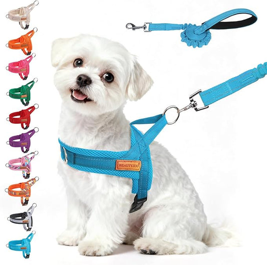 BEAUTYZOO Dog Harness for Small Dogs, No Pull Dog Harness and Leash Set, Soft Escape Proof Puppy Vest Harness with Handle, Reflective Lightweight Step in Harness for Girl Boy Dogs, Blue S