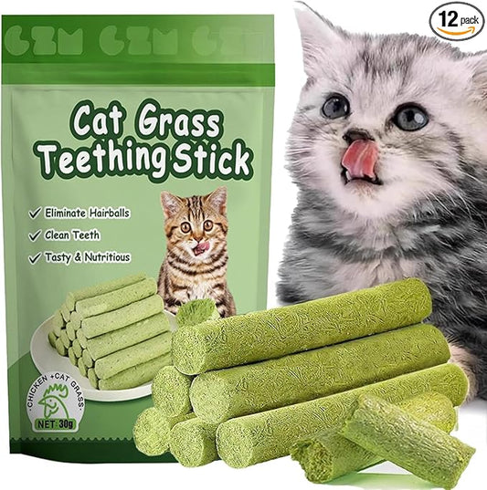 6Pcs Cat Toys Cats Grass Treat for Indoor Cat Edible Grass Kitten Toys Kitty Chew Grass Sticks for Teeth Kitten Snack